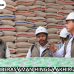 Stok Beras Aman Hingga Akhir 2026