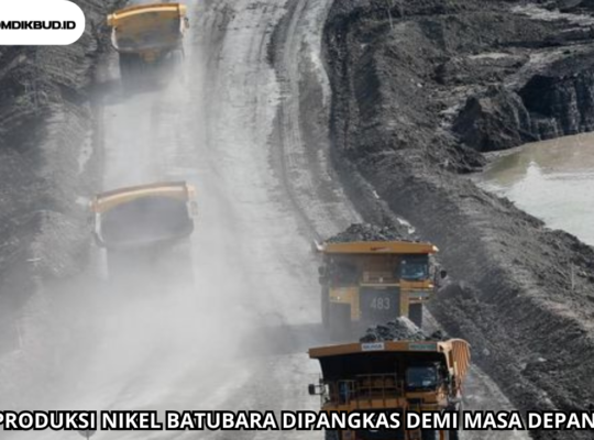 Produksi Nikel Batu Bara Dipangkas Demi Masa Depan